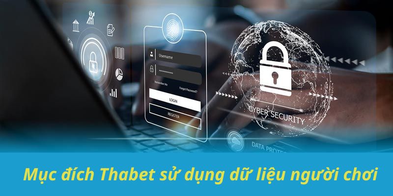 Chi tiết mục đích Thabet sử dụng các dữ liệu của người chơi